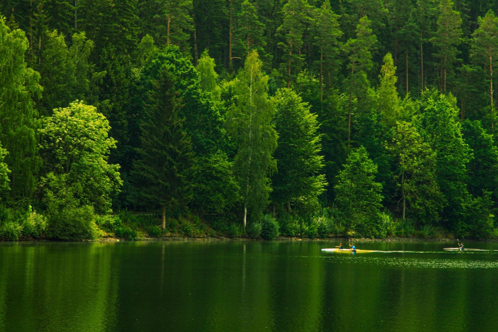 Nature 3